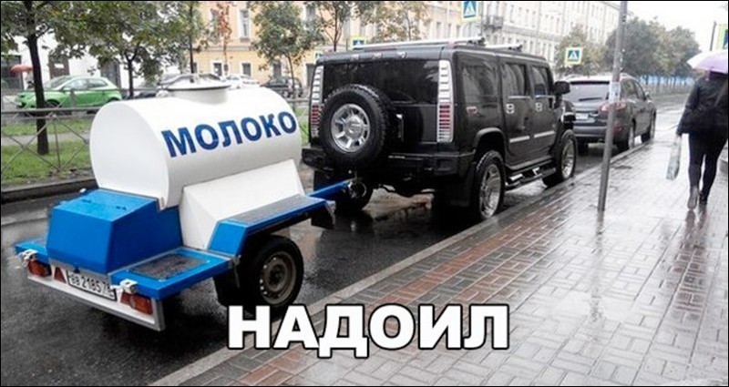 Прикольные картинки картинки для хорошего настроения, прикол, юмор