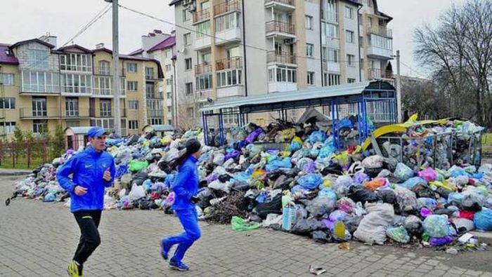 Прикольные и веселые картинки для настроения (11 фото)