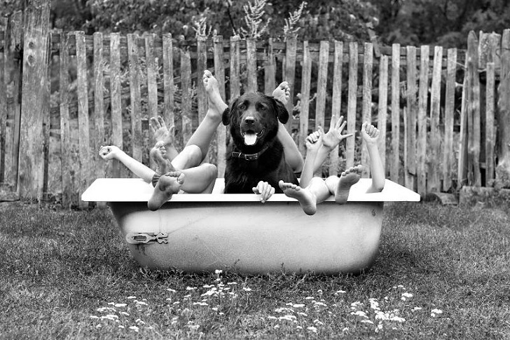 Черно-белая идиллия 