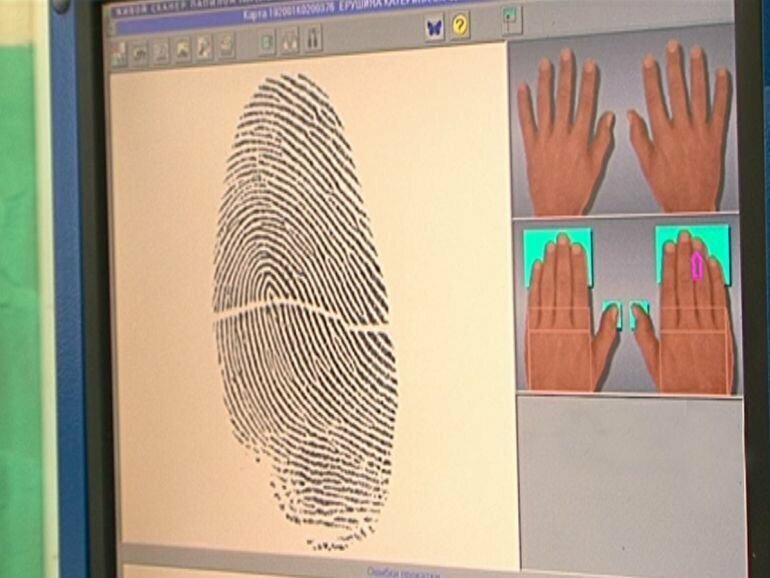 отпечатки пальцев в криминалистике. дактилоскопия пальцев рук. отпечатки пальцев. дактилоскопия криминалистика. дактилоскопия папиллярных узоров пальцев рук.