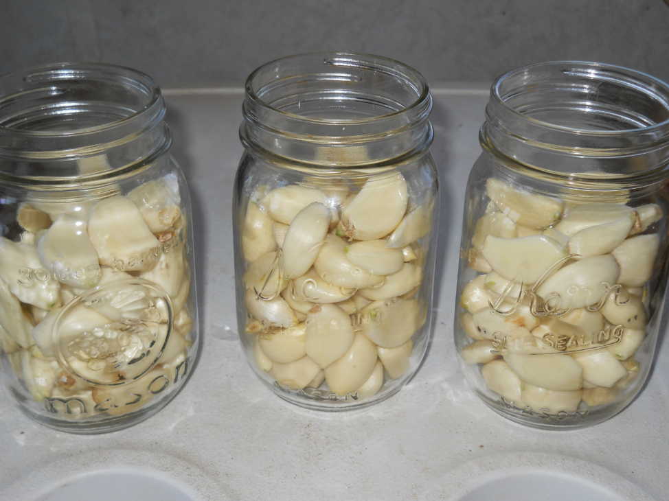 Больную печень вылечила обычным чесноком, уже 8 лет все в порядке