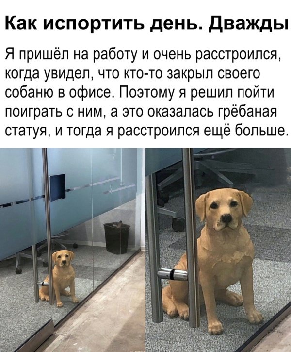 Подборка прикольных картинок и фотографий на 8 апреля. Подборка прикольных картинок и фотографий на 8 апреля.