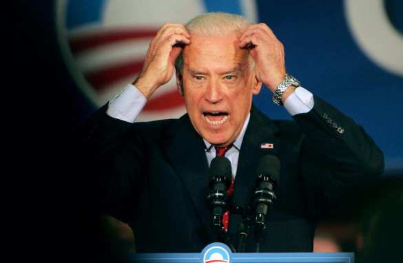 Камала Харрис уже взяла на себя важную часть обязанностей президента США | Русская весна