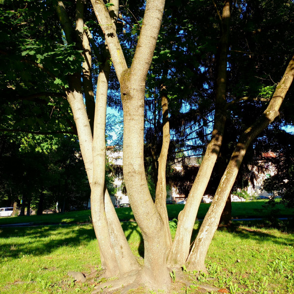 20250723_190444.jpg