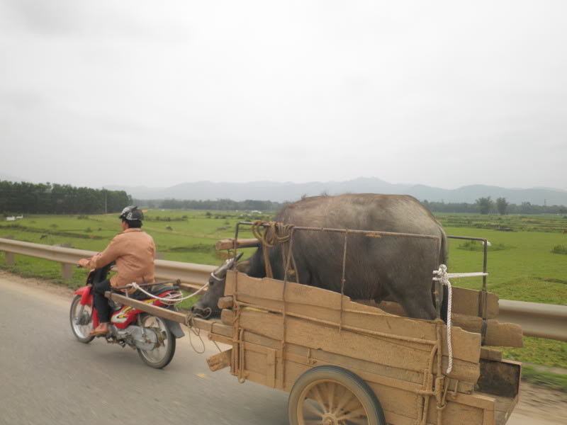 Спасибо, что хоть в прицепе автомобили, грузы, дорога, прикол, юмор