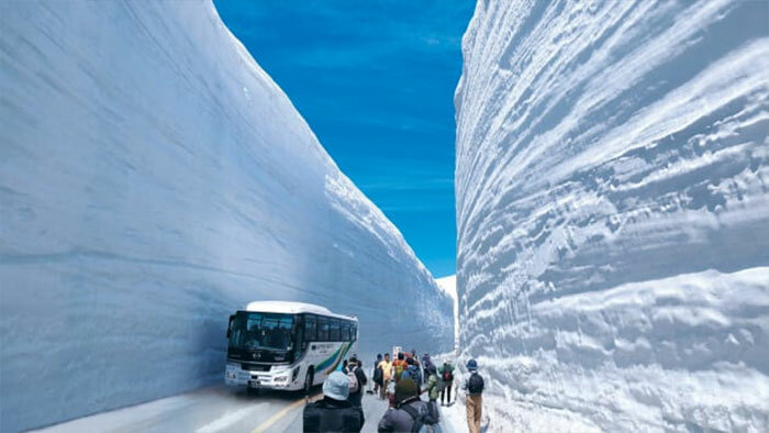 https://www.boredpanda.com/aomori-japan-snow-wall/?utm_source=google&utm_medium=organic&utm_campaign=organic