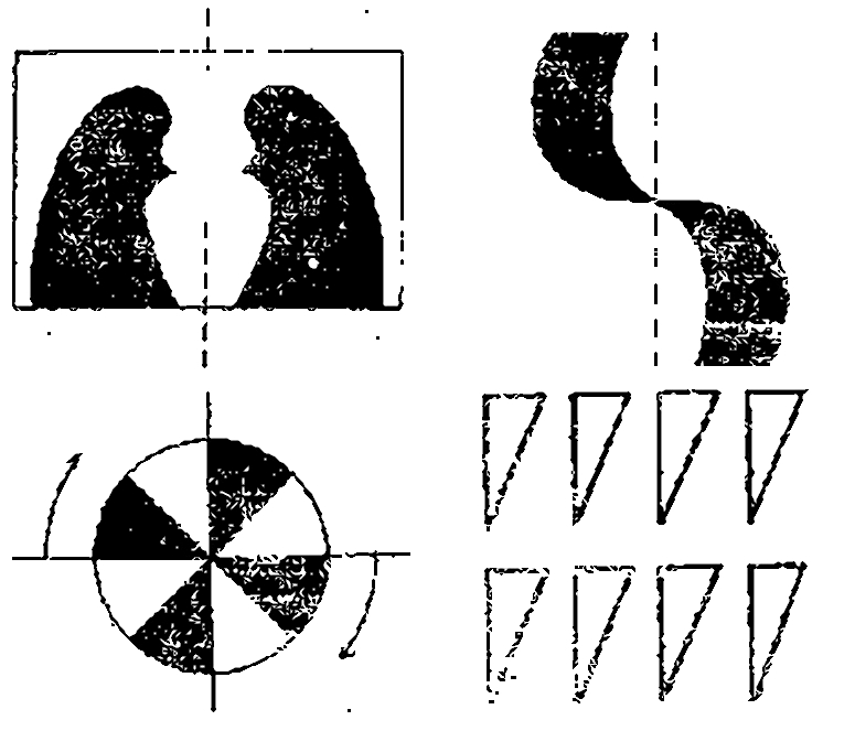 Виды симметрии: Зеркальная, винтовая, центральная, по сдвыгу.
