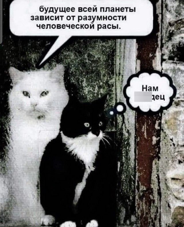 Шутки и мемы из Сети  