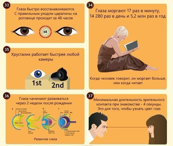 интересные факты о глазах7