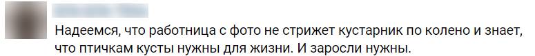 Петербургские коммунальщики обрекают птиц на голод