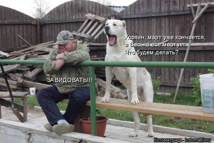 Лучшие котоматрицы за прошедшую неделю