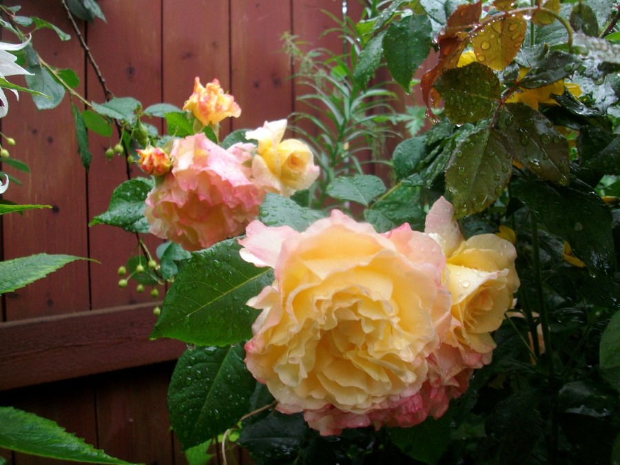 Ловииса летом и зимой... Ловииса летом и зимой...