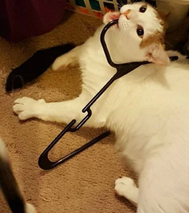 А платье было еще вкуснее. | Фото: Bomba.co.