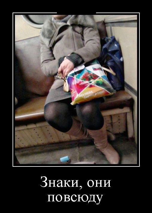 Демотиваторы (30 фото)