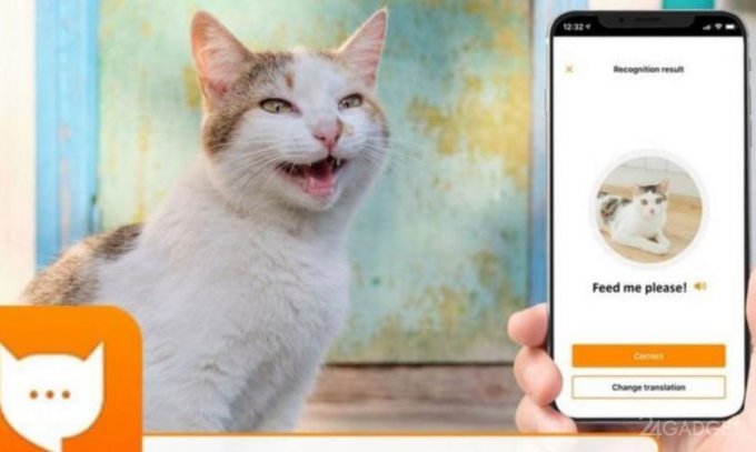 В Google Play появился переводчик с кошачьего языка google,аудио,Интернет,наука,технологии,электроника