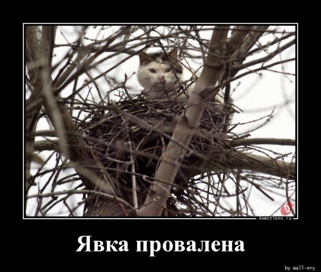 Демотиваторы для всех: «Моя вселенная…»  