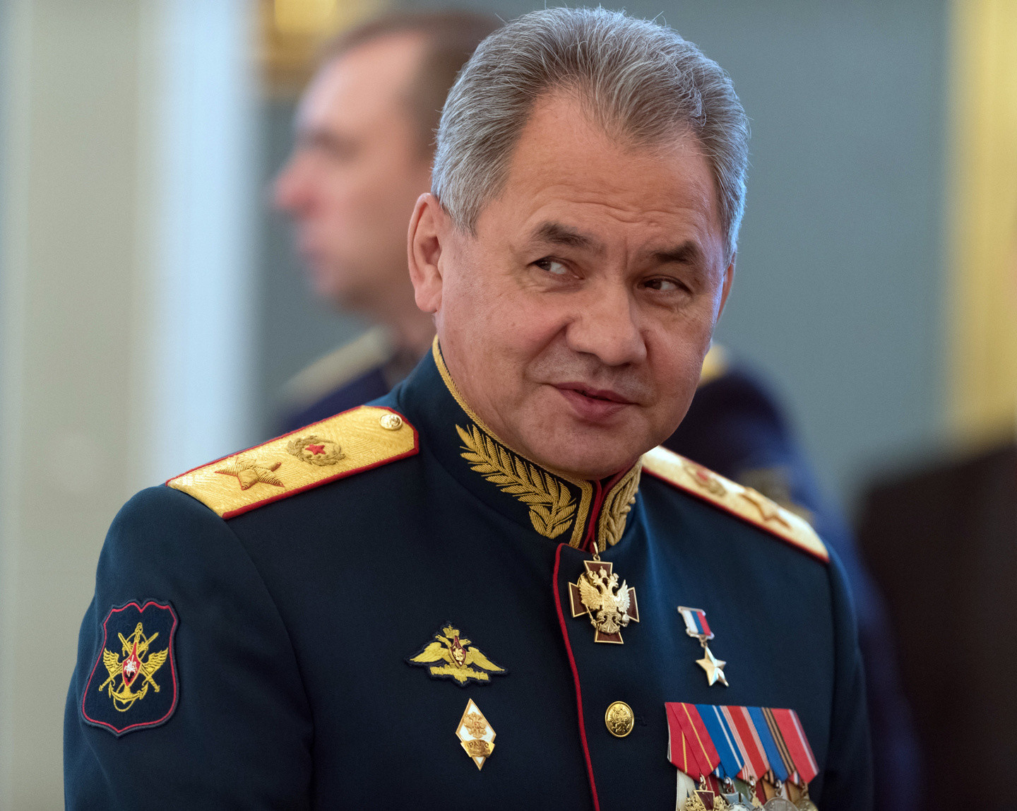 Шторы, картинка с шойгу
