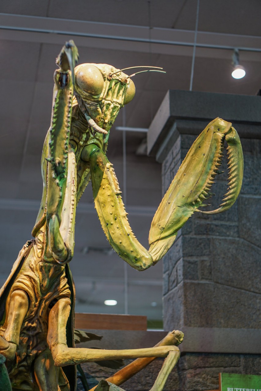 Seattle Washington Pacific Science Center-10.jpg