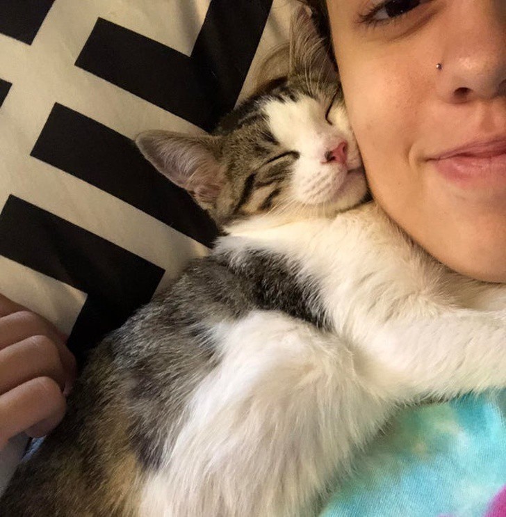 Любой из нас может сделать братьев наших меньших счастливыми, и вот доказательства Любой из нас может сделать братьев наших меньших счастливыми, и вот доказательства доброта,домашний очаг,животные