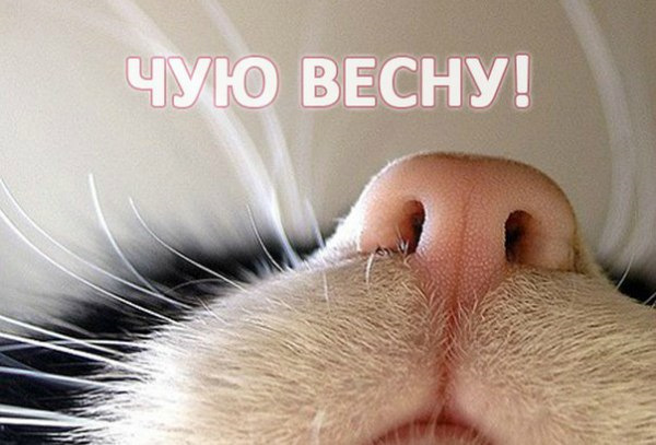 Подборка интересных и веселых картинок №62 Подборка интересных и веселых картинок №62 Отдых