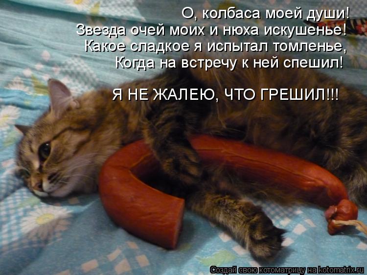 Котоматрица: О, колбаса моей души! Звезда очей моих и нюха искушенье! Какое сладкое я испытал томленье, Когда на встречу к ней спешил! Я НЕ ЖАЛЕЮ, ЧТО ГРЕШИ