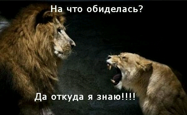 original.png#20587879391