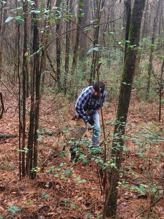 12 часов на волоске от смерти: как полицейский и его пёс искали беспомощную старушку в лесу 12 часов на волоске от смерти: как полицейский и его пёс искали беспомощную старушку в лесу истории из жизни