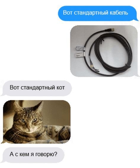 12 сообщений с юмором юмор