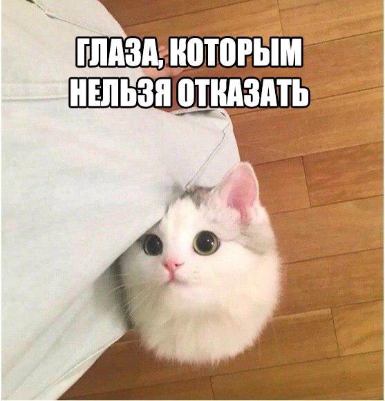 Позитивные картинки и веселые фотографии с надписью Позитивные картинки и веселые фотографии с надписью