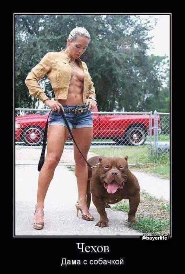 Как-бы про жизнь ...)