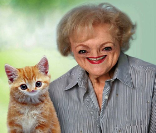 Безносые знаменитости Безносые знаменитости