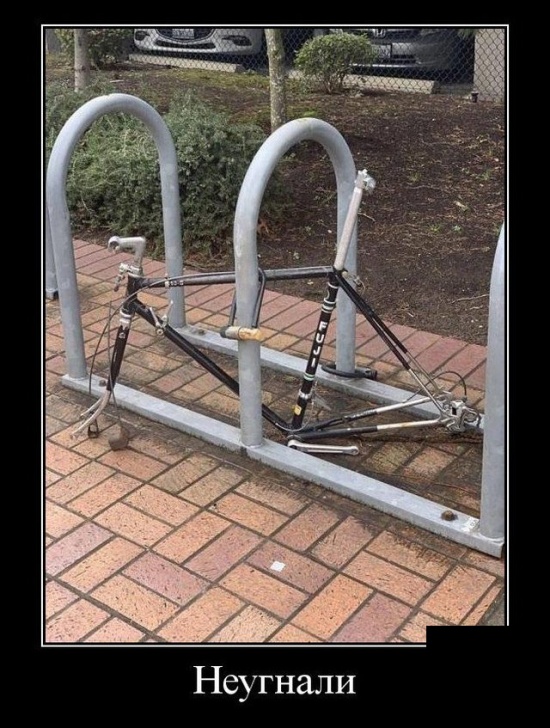 Подборка классных и забавных демотиваторов из нашей жизни Подборка классных и забавных демотиваторов из нашей жизни