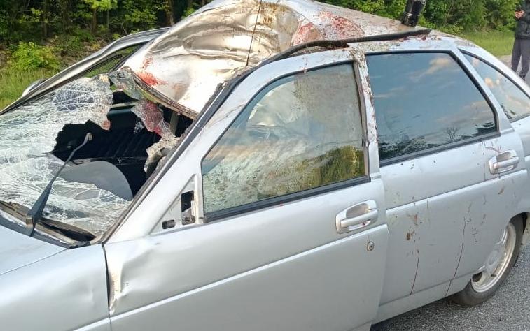 Молодой водитель пострадал при наезде на лося в Шацком районе