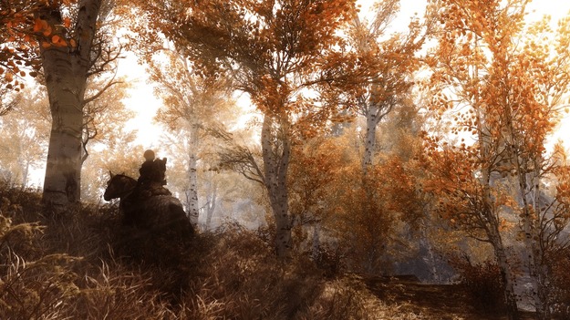 The Elder Scrolls 6 неожиданными возможностями ужаснул геймеров action,mmorpg,the elder scrolls 6,Игры,слухи