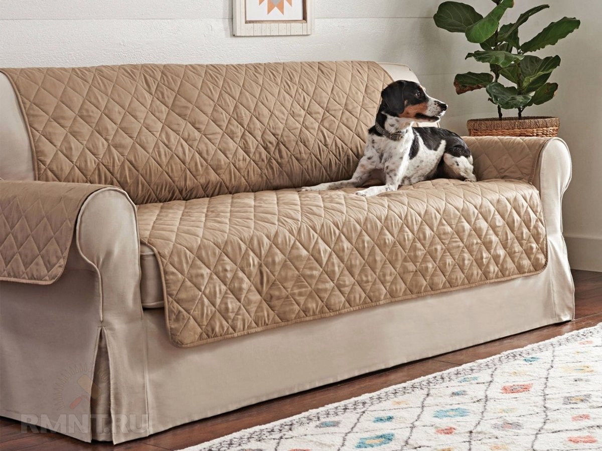 Собака на диване — выбор обивки  её защита диван, нужно, можно, шерсть, чтобы, собака, вариант, мебели, обивки, лежать, собаке, всегда, размерам, владельцы, кресла, который, чехол, может, питомец, Такие