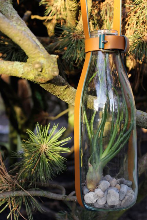 Новая жизнь старых ремней для дома и дачи,новая жизнь старых вешей,поделки,самоделки,своими руками,сделай сам