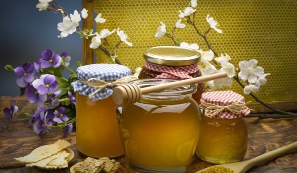 Праздник пчеловодов и святой Харалампий