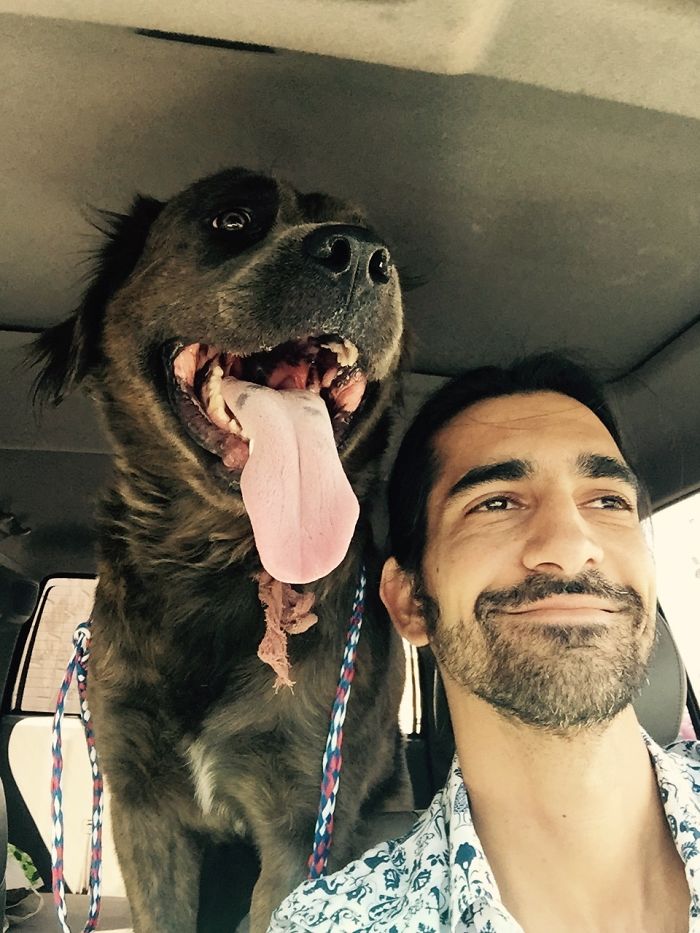 Went To Rescue A Dog... Got A Bear Instead