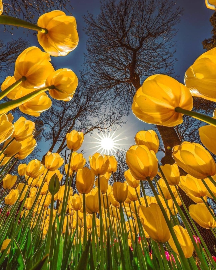 Классные и прикольные фотографии Классные и прикольные фотографии красивые фотографии,прикольные картинки,шикарные фотографии