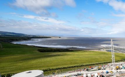 Рыбка нерка и золото показали, в чем Россия уступает Америке