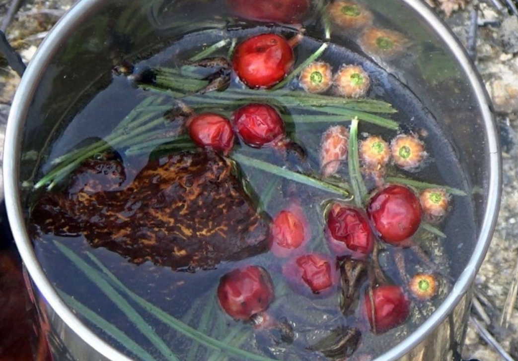 10 рецептов чая против старения и многих болезней - без аптек и больниц можно жить до 100 лет!