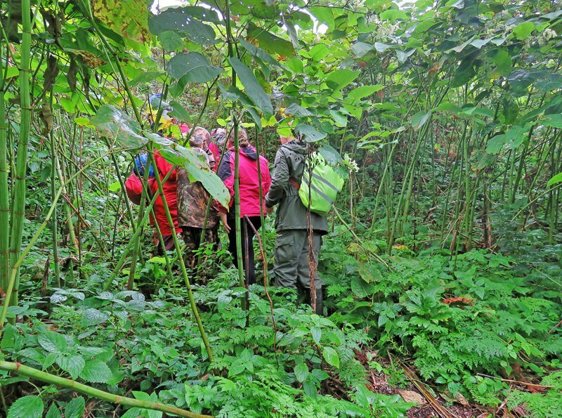 Кунашир: мыс Столбчатый Кунашир: мыс Столбчатый