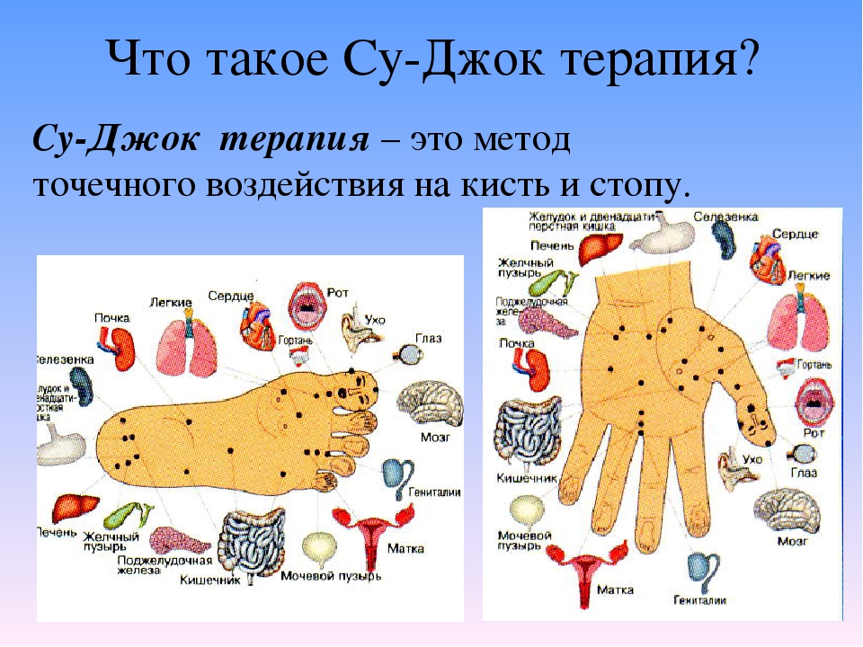 Точки су джок на ладони схема