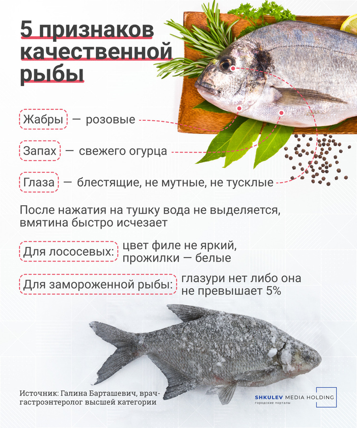 Объясняем на картинках: какая рыба самая полезная, какая самая вредная и кому ее вообще нельзя диета,еда,питание,полезные продукты,рыба