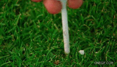 Подборка позитивных и смешных гифок 