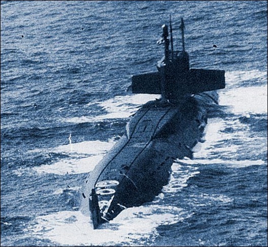 Родина сказала «надо»…