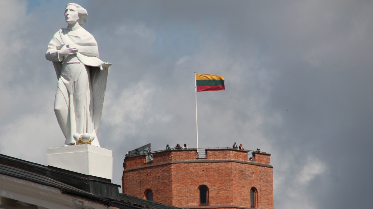 В Белоруссии рассказали, как "безработные революционеры" живут за счет литовцев