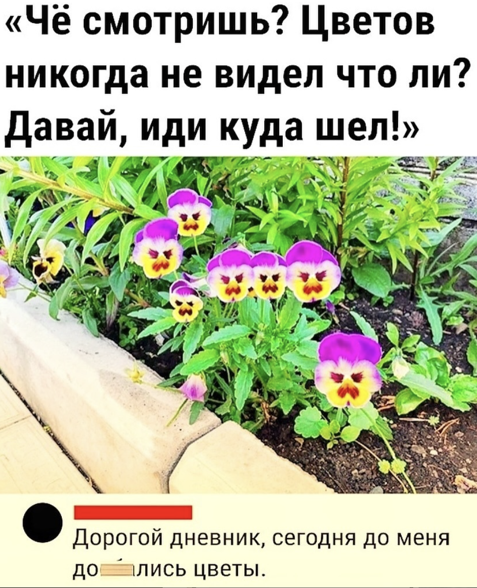Смешные комментарии, как острый соус: добавляют огонь в каждый пост 