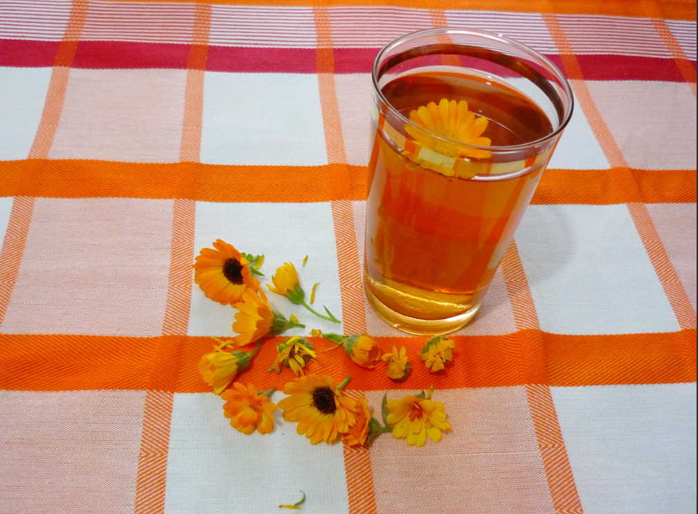 Как изгнать камень из почки лекарствами и травами