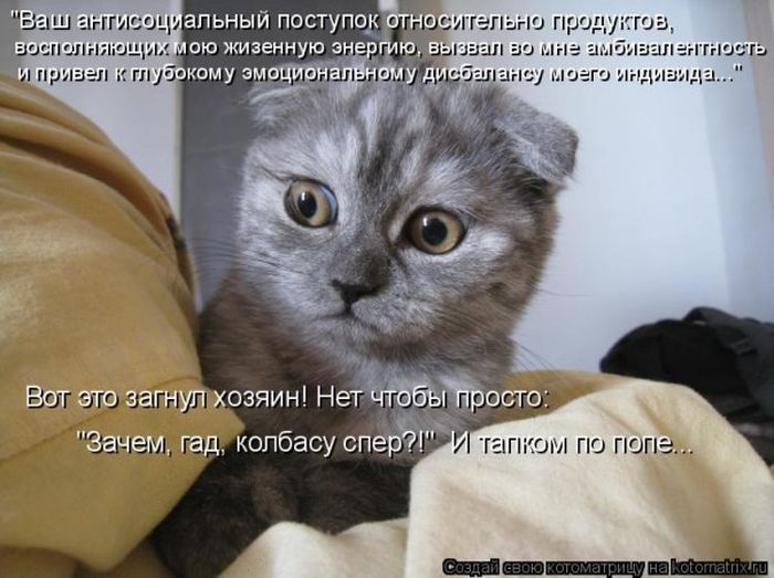 Мысли вслух :)